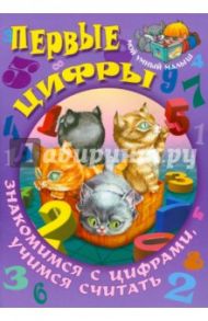 Первые цифры. Знакомимся с цифрами, учимся считать / Кузьмин Сергей Вильянович