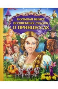 Большая книга волшебных сказок о принцессах