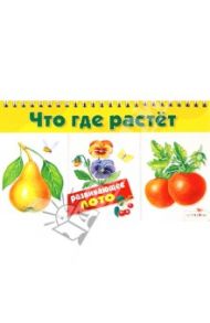 Что где растет. Развивающее лото