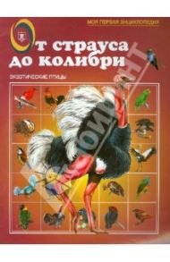 От страуса до колибри. Экзотические птицы / Бабенко И. В.