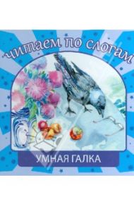 Умная галка