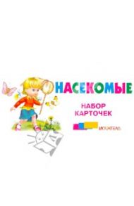 Насекомые. Набор карточек