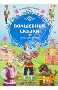 Отважному герою. Волшебные сказки для мальчиков