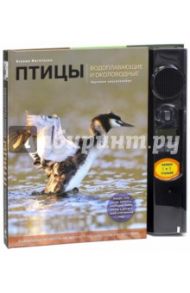 Птицы. Водоплавающие и околоводные. Звуковая энциклопедия (поганка) / Митителло Ксения Борисовна