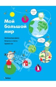 Мой большой мир. Любопытные факты. Вопросы и ответы. Сделай сам / Дову Софи