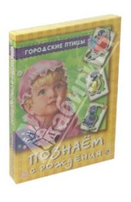 Игра "Городские птицы"