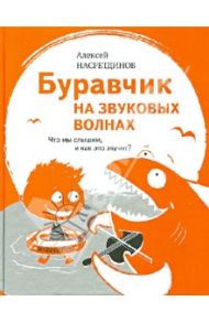 Буравчик на звуковых волнах. Что мы слышим, и как это звучит? / Насретдинов Алексей