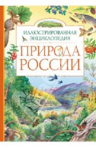 Природа России. Иллюстрированная энциклопедия / Романова Татьяна, Свечников Владимир