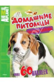 Домашние питомцы. Animal Planet