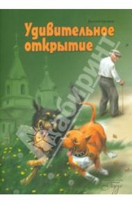 Удивительное открытие / Харченко Дмитрий