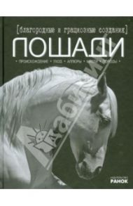 Лошади - Благородные и грациозные создания / Шейкина Екатерина Александровна