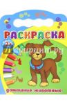 Раскраски 2+. Домашние животные