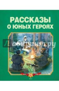 Рассказы о юных героях / Воскобойников Валерий Михайлович, Надеждина Надежда Августиновна, Никольский Борис Николаевич