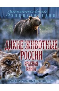 Дикие животные России. Красная книга. Иллюстрированный путеводитель / Очеретний Александр Дмитриевич