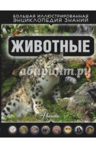 Животные / Кошевар Дмитрий Васильевич