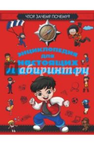 Что? Зачем? Почему? Энциклопедия для настоящих мальчишек / Кошевар Дмитрий Васильевич, Мерников Андрей Геннадьевич