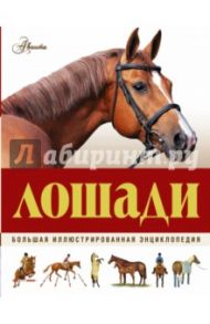 Большая иллюстрированная энциклопедия. Лошади / Холдернесс-Роддам Джейн