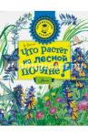Что растёт на лесной поляне? / Онегов Анатолий Сергеевич