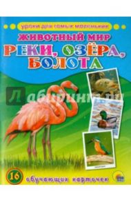 Уроки для самых маленьких. Животный мир. Реки, озера, болота