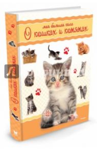 Моя большая книга о кошках и котятах