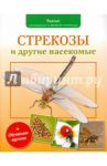 Стрекозы и другие насекомые / Волцит Петр Михайлович