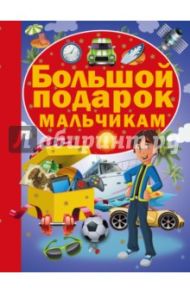 Большой подарок мальчикам / Попова Ирина Мечеславовна, Аниашвили Ксения Сергеевна, Зуенок Руслан Григорьевич