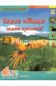 Какие птицы самые красивые? / Владимиров В. В.