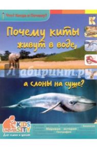 Почему киты живут в воде, а слоны на суше? / Евстигнеев Андрей, Ященко Анна