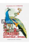 Домашние животные и птицы