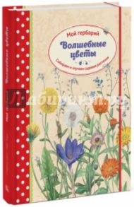 Волшебные цветы. Мой гербарий. Собираем и изучаем садовые растения / Циск Стефани