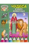 Чудеса в мире животных. Раскраска 2