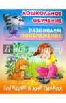 Загадки в картинках