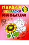 Подсолнух. Первая раскраска малыша
