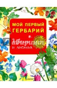 Мой первый гербарий. Цветы и листья. ФГОС