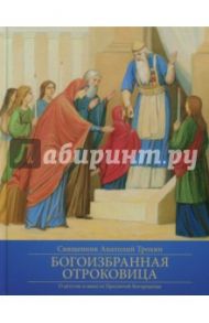 Богоизбранная Отроковица. О детстве и юности Пресвятой Богородицы / Протоиерей Анатолий Трохин