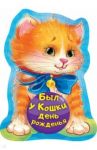 Был у кошки день рожденья / Пикулева Нина Васильевна