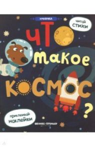 Что такое космос? Книжка с наклейками / Разумовская Юлия