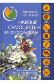 "Живые самоцветы" за порогом дома. Удивительные беспозвоночные / Бернацкий Анатолий Сергеевич