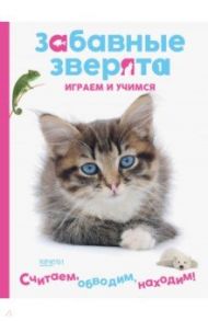 Котенок. Играем и учимся