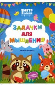 Задачки для мышления. В парке аттракционов. Книжка-гармошка / Ивинская Снежана Сергеевна