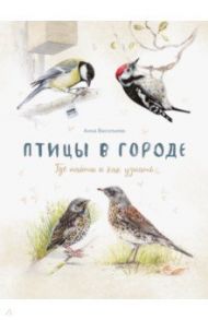 Птицы в городе. Где найти и как узнать / Васильева Анна