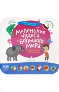 Маленькие чудеса большого мира / Артюхова Ирина Сергеевна