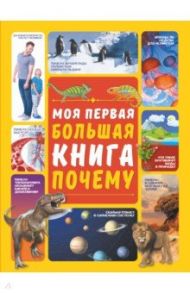 Моя первая большая книга ПОЧЕМУ / Ермакович Дарья Ивановна