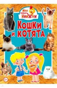 Кошки и котята