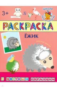 Раскраска. Ежик