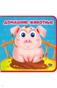 Домашние животные / Купырина Анна