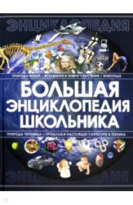 Большая энциклопедия школьника / Спектор Анна Артуровна