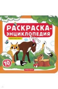 Животные леса. Книжка-раскраска