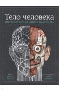 Тело человека. Интерактивная книга-панорама / Уолкер Ричард