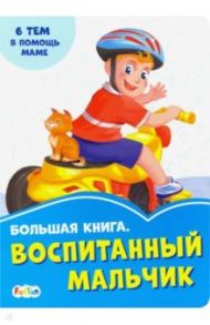 Большая книга. Воспитанный мальчик / Солнышко Ирина